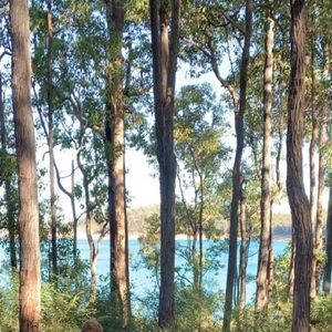 Meet your Posher, Lucy